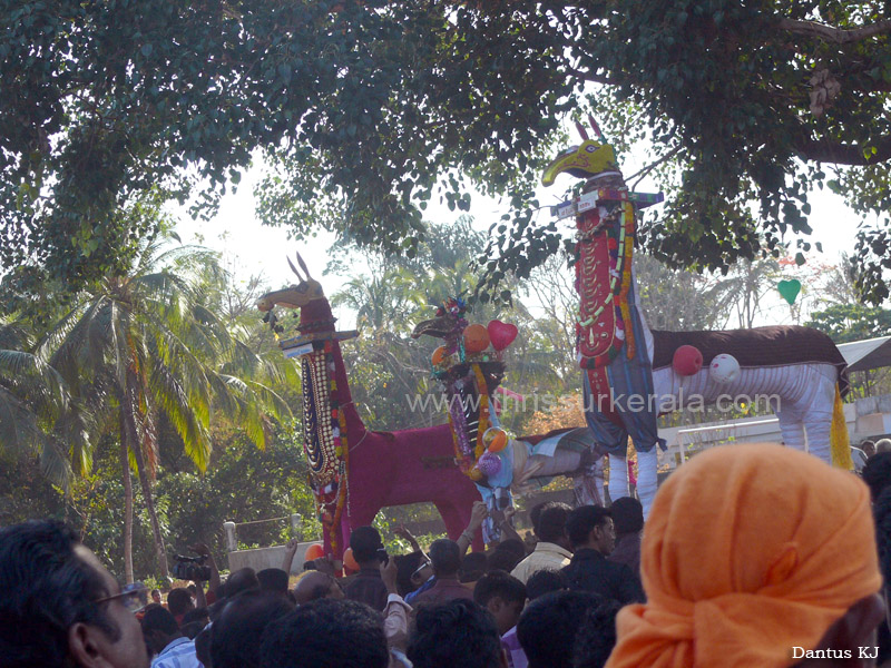 mangad-pooram-2013 (11)